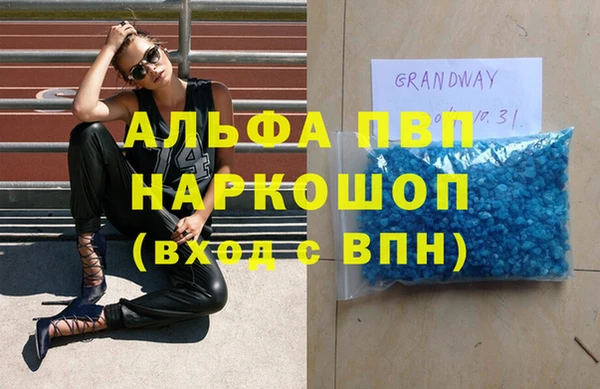 эйфоретик Баксан