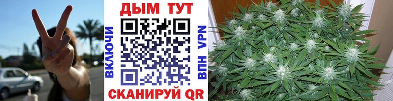 МАРИХУАНА семена  купить закладку  Лаишево 